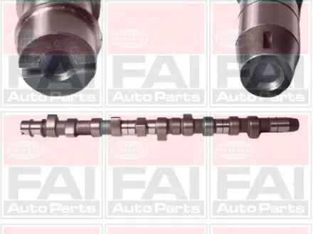 C230 Распредвал Audi 100,T4 2.0/2.4D 83- FAI AUTOPARTS подбор по vin на Brocar