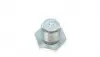 308480001 Болт зливу оливи Citroen Berlingo/Jumper/Jumpy/Peugeot Boxer/Expert/Partner 96- (M14x1.25) FA1 підбір по vin на Brocar