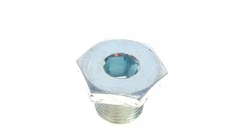 308480001 Болт зливу оливи Citroen Berlingo/Jumper/Jumpy/Peugeot Boxer/Expert/Partner 96- (M14x1.25) FA1 підбір по vin на Brocar