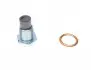 153520011 Болт слива масла + шайба Citroen BX/Peugeot 205/309/405 -96 (M16x1.5) FA1 підбір по vin на Brocar