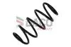 803031 Sprężyna zaw. * KANGOO/GRAND KANGOO 1.5 dci 08- Przód DACO підбір по vin на Brocar