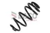 812717 Sprężyna zaw. * OPEL INSIGNIA TOURER BENZ 08-17 Tył DACO підбір по vin на Brocar