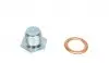 308480011 Болт зливу оливи + шайба Citroen Berlingo/Jumper/Jumpy/Peugeot Boxer/Expert/Partner 96- (M14x1.25) FA1 підбір по vin на Brocar