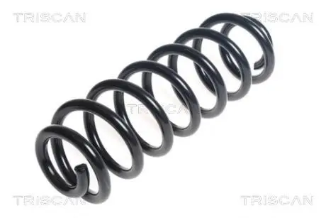 875029391 Пружина клапана VW T. TOURAN 2,0 06-15 PASSAT 1,4 TSI 10-14 автомат TRISCAN підбір по vin на Brocar