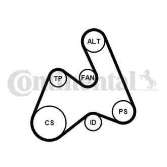 5PK1592WP1 Комплект ременя генератора + помпа Audi A4/A6/VW Passat B5 1.9TDI 95-01 (5PK1592) CONTITECH підбір по vin на Brocar