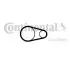 CT2000 Ремень ГРМ Land Rover Range Rover Evoque 2.0/2.2D 11-19 (22x158z) CONTITECH підбір по vin на Brocar