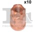 988081110 NAKRĘTKA UKŁ. WYD. TORX M8X1.25 SW14/E16 H=25 10 SZT. FA1 підбір по vin на Brocar