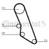 Комплект ГРМ Citroen Jumper/Peugeot Boxer 2.0i 94- (25x114z) CT865K1