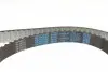 KTB294 Комплект ГРМ VW Caddy/Sharan/Seat Ibiza 1.9TDI/SDI 95-06 DAYCO підбір по vin на Brocar