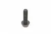 KTB294 Комплект ГРМ VW Caddy/Sharan/Seat Ibiza 1.9TDI/SDI 95-06 DAYCO підбір по vin на Brocar
