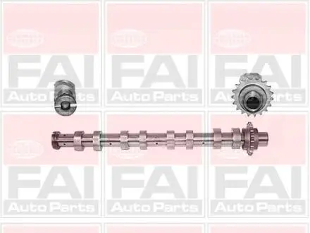 C267 Розподільчий вал EX Citroen C2, C3, C4, C5, Berlingo MINI (R56),Peugeot 1007, 206, 207, 3008, 307, 308, 407 1.6HDi 04- FAI AUTOPARTS підбір по vin на Brocar