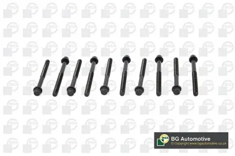 BK1318 Комплект болтів двигуна з фігурною головкою BGA підбір по vin на Brocar