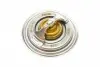 TX11187D Термостат VW T5 1.9TDI 03-09/Golf/Jetta/Passat 2.0TDI 03-13 (87°C) MAHLE / KNECHT підбір по vin на Brocar