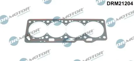 DRM21204 USZCZELKA GŁ. VW POLO 6 94- DR.MOTOR підбір по vin на Brocar