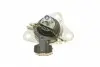 80001199 Подушка двигуна (R) Renault Megane I/Scenic I 1.9dTi/dCi 97-03 CORTECO підбір по vin на Brocar