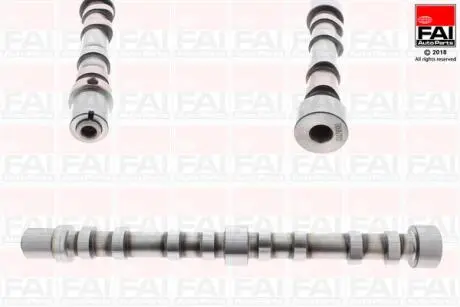 C384 WAŁEK ROZRZĽDU FIAT IVECO FAI AUTOPARTS підбір по vin на Brocar