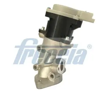 EGR12168 Клапан рециркуляции газов FRECCIA підбір по vin на Brocar