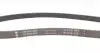 FB5PK880 Ремінь генератора Citroen Berlingo 1.1-1.4 96-/ Subaru Forester/ Impreza/ Legacy 1.6-2.5 92-09 INA підбір по vin на Brocar