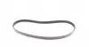 FB5PK880 Ремінь генератора Citroen Berlingo 1.1-1.4 96-/ Subaru Forester/ Impreza/ Legacy 1.6-2.5 92-09 INA підбір по vin на Brocar