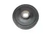 544004210 Шкив коленвала Citroen Berlingo/Jumpy/Peugeot Expert 1.8-1.9D 95-02 (6PK) INA підбір по vin на Brocar