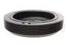 544004210 Шкив коленвала Citroen Berlingo/Jumpy/Peugeot Expert 1.8-1.9D 95-02 (6PK) INA підбір по vin на Brocar