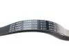 AD06R1105 Ремень генератора Nissan Primera/Fiat Marea 1.8-2.4JTD 96-02/ Honda Accord 1.8-2.0 98-03 BLUE PRINT підбір по vin на Brocar