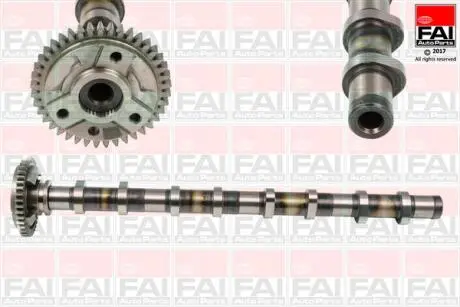 C381 WAŁEK ROZRZĽDU BMW FAI AUTOPARTS підбір по vin на Brocar