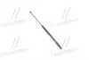 Амортизатор крышки багажника VW Golf 97-06 ML5261