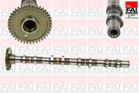 C382 WAŁEK ROZRZĽDU BMW FAI AUTOPARTS підбір по vin на Brocar