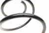 4062088 Пружина (передняя) Nissan Maxima V 3.5 08- (седан) LESJOFORS підбір по vin на Brocar