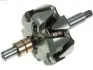WIRNIK ALTERNATORA AR1011S