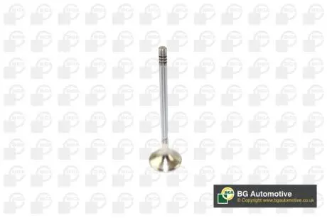 V166211 Клапан выпуск. BMW 1/3/5/X3 07- (дв.N47D20) BGA подбор по vin на Brocar