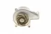 538088310 Помпа воды BMW X1 (F48)/X2 (F39) 14- B38/B42/B48 INA підбір по vin на Brocar