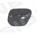 РЕШЕТКА В БАМПЕР BMW X5 (E70), 04.10 - 11.13 PBM99114CAR