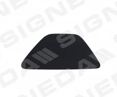PBM99060CAL Заглушка омивача фар BMW 5 (F10/F11), 10 - 16 SIGNEDA підбір по vin на Brocar