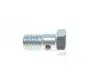 98910009021 Болт Banjo (банжо) Fiat Doblo 1.9 JTD 01- (M10x1.5x19) FA1 підбір по vin на Brocar