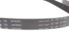 529047710 Комплект ременя генератора Ford Focus 2.5 ST 05-12, (5PK890 + 5PK848) INA підбір по vin на Brocar
