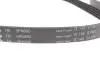 529047710 Комплект ременя генератора Ford Focus 2.5 ST 05-12, (5PK890 + 5PK848) INA підбір по vin на Brocar