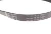 529047710 Комплект ременя генератора Ford Focus 2.5 ST 05-12, (5PK890 + 5PK848) INA підбір по vin на Brocar