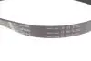 529047710 Комплект ременя генератора Ford Focus 2.5 ST 05-12, (5PK890 + 5PK848) INA підбір по vin на Brocar