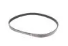 529047710 Комплект ременя генератора Ford Focus 2.5 ST 05-12, (5PK890 + 5PK848) INA підбір по vin на Brocar