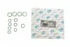 Прокладка компрессора кондиционера уплотнительная Renault Megane II 02-09/Espace IV 06- (К-кт) 3418-005