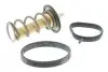 V25991753 TERMOSTAT, PLYN CHLODZACY VEMO підбір по vin на Brocar
