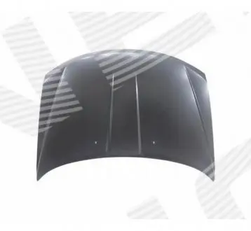 PDG20055A Капот (alumin) JY-AB-061 /DODGE JOURNEY 09- SIGNEDA підбір по vin на Brocar