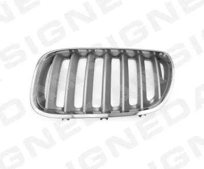 PBM07031GBL РЕШЕТКА РАДИАТОРА BMW X5 (E53), 04 - 06 SIGNEDA підбір по vin на Brocar