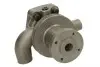 WPPK117 WP-PK117 THERMOTEC THERMOTEC підбір по vin на Brocar
