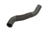 DW0543TT Шланг радіатора THERMOTEC підбір по vin на Brocar
