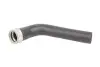 DCY006TT THERMOTEC DCY006TT