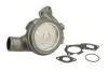 WPPK112 WP-PK112 THERMOTEC THERMOTEC підбір по vin на Brocar