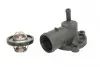TERMOSTAT, PLYN CHLODZACY D2S003TT